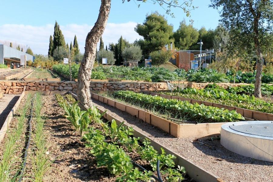 Centro De Agroecologia Y Medio Ambiente De Murcia Bullas Exterior photo