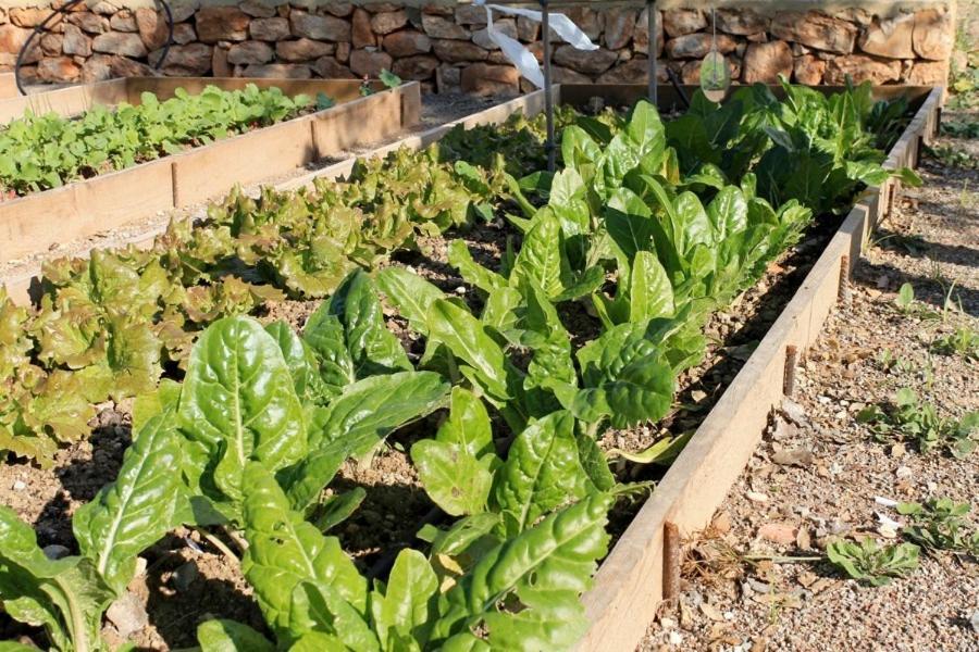 Centro De Agroecologia Y Medio Ambiente De Murcia Bullas Exterior photo