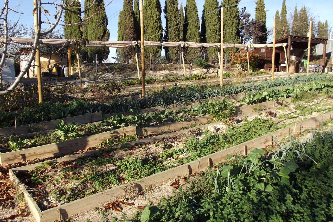 Centro De Agroecologia Y Medio Ambiente De Murcia Bullas Exterior photo
